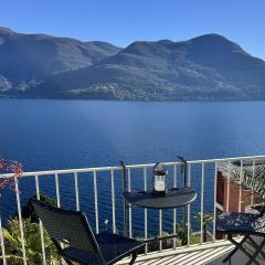 Bellevue by Fewotessin