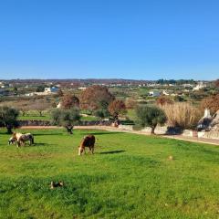 Casa tra i Trulli