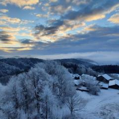 Traumblick Bayerischer Wald, Pool & Sauna, Getränke, Klimaanlage