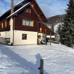 Pensiunea Aries Arieseni