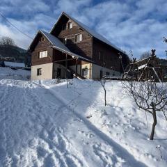 Pensiunea Aries Arieseni