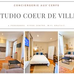 Aux'Cerfs - Studio coeur de ville