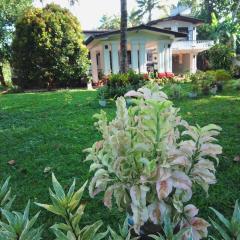 New Royal Holidya Home