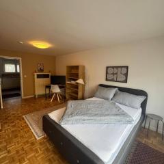 2-Zimmer Apartment an der Tauber