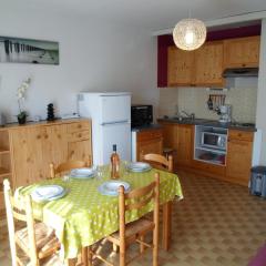 Appartement confortable proche des Thermes, animaux admis - FR-1-503-3