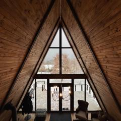 Lakewood Cabin - Surduc Lake