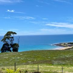 Penguin Seaside Farm