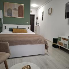 Studio Verde Pallady