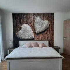 Apartmán Sněženka