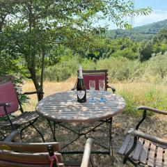 Podere Boschetto Moroni