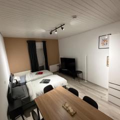 Zentrales 3-Schlafzimmer-Apartment in Würzburg-Hdf