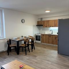 Villa Amarotico byt 3 Plesná