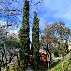 Alixares de Güéjar Sierra - Bungalows
