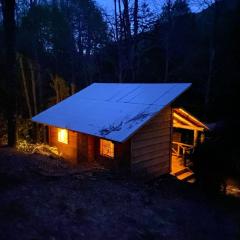 Aventura mágica! Cabañas del bosque con ribera