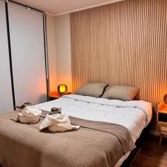 Vista a la cordillera a pasos de Barrio Italia