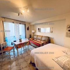 Studio moderne avec WIFI, parking et animaux admis - FR-1-703-222