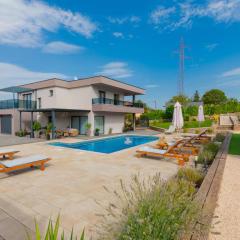 Villa Viktoria with private pool, barbecue, gym, children's playground