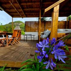 L'Eden du Piton des Roches