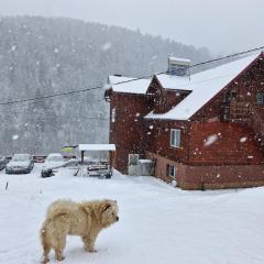 Pensiunea Cabana Viselor ,Apuseni