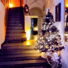 Apartman Deluxe Cheb