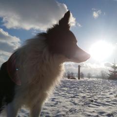 U Asi - Zimowe Wakacje Blisko Natury