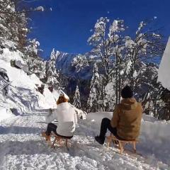 Garden Apartments Janša