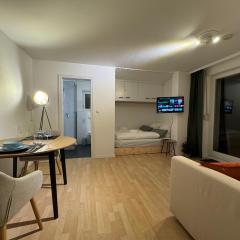 Apartment Albrecht Waldshut, Studio with Terrace