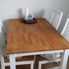 Comfortable apartment near city centre