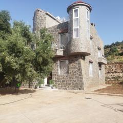 Luxurious mountain villa