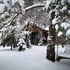 Beržų namelis - Birch cabin