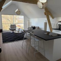 Le 52 - votre appart tout confort, au calme & à proximité de tout