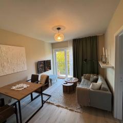 Beautiful top apartment in the heart of Oslo