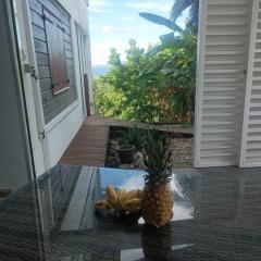 T2 design pour 2 à Anse à l'Âne aux Trois Ilets