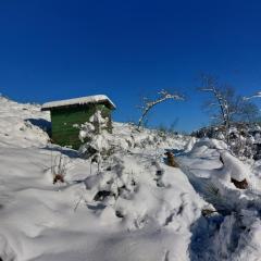 gemütliche Dachgeschoss- Ferienwohnung im Grünen