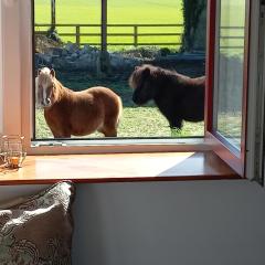 Glenrigh Luxury 2-bedroom Cottage Cahir