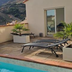 Private heated swimming pool at Nid de Paulilles