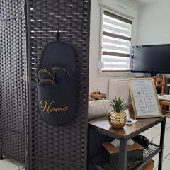 Meublé 3 étoiles en centre-ville