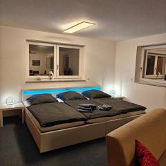 Family Room Grüne Auszeit Dresden