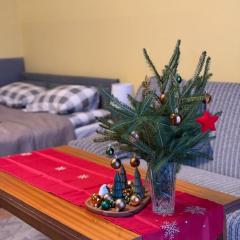 Apartament Salamandra Uno