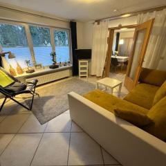 Strandnaher Urlaub mit Hund am Steinhuder Meer