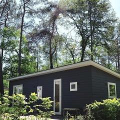 Lodge De Winterkoning