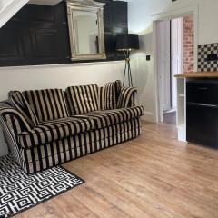 Birdellas the eleganant one