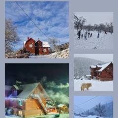 Pensiunea Cabana Viselor ,Apuseni