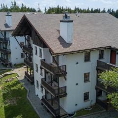 Whistlepunk #11: 2 Bedroom, 2 Bath: Wood fireplaceCentral Location