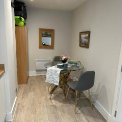 Criterion House one room in city center