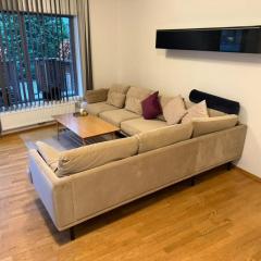 Bright & modern apartment near Oslo