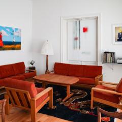 Gelbe Katze - ABC600 - nur Feriengäste!