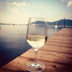 Exklusives Ferienhaus mit privatem Badeplatz am Attersee