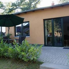 Möwe am Strand - ABC58