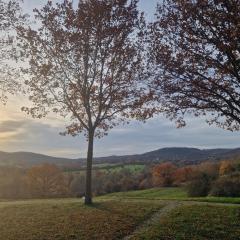 Ferienwohnung Documenta Urbana